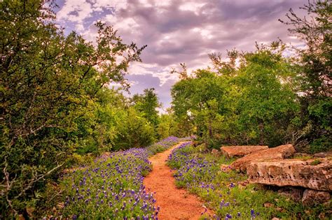 Welcome to Spring Texas .
